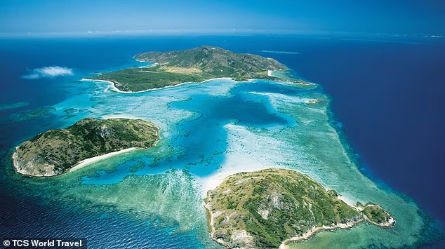 Australian woman dies on remote island after failing to board cruise ship