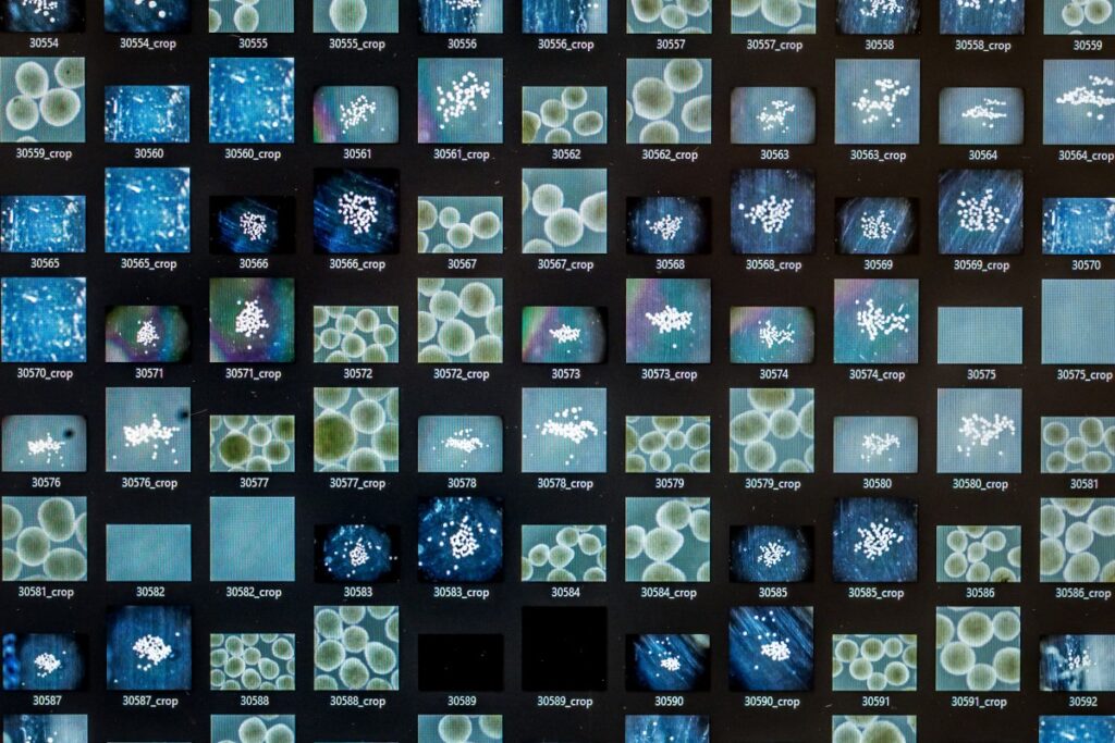 Scientists create living computer using human mini-brains