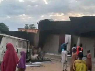 Borno monarch flees to Cameroon after palace attack