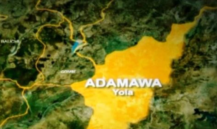 Adamawa 8,850 new HIV infections four years