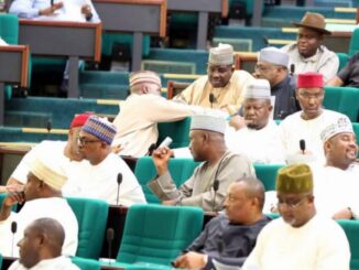 House of Representatives rejects US genocide claim against Christians in Nigeria