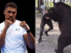 Anthony Joshua vs Arslanbek Makhmudov fight
