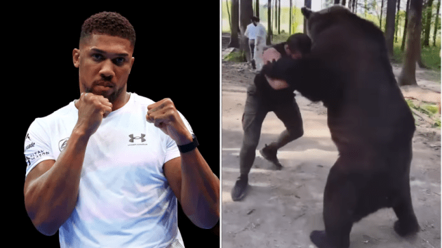 Anthony Joshua vs Arslanbek Makhmudov fight Anthony Joshua vs Arslanbek Makhmudov fight