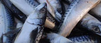 Kwara govt seals cold room for selling spoiled fish