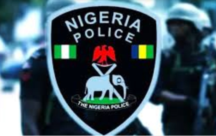 Bauchi police rescue abducted siblings