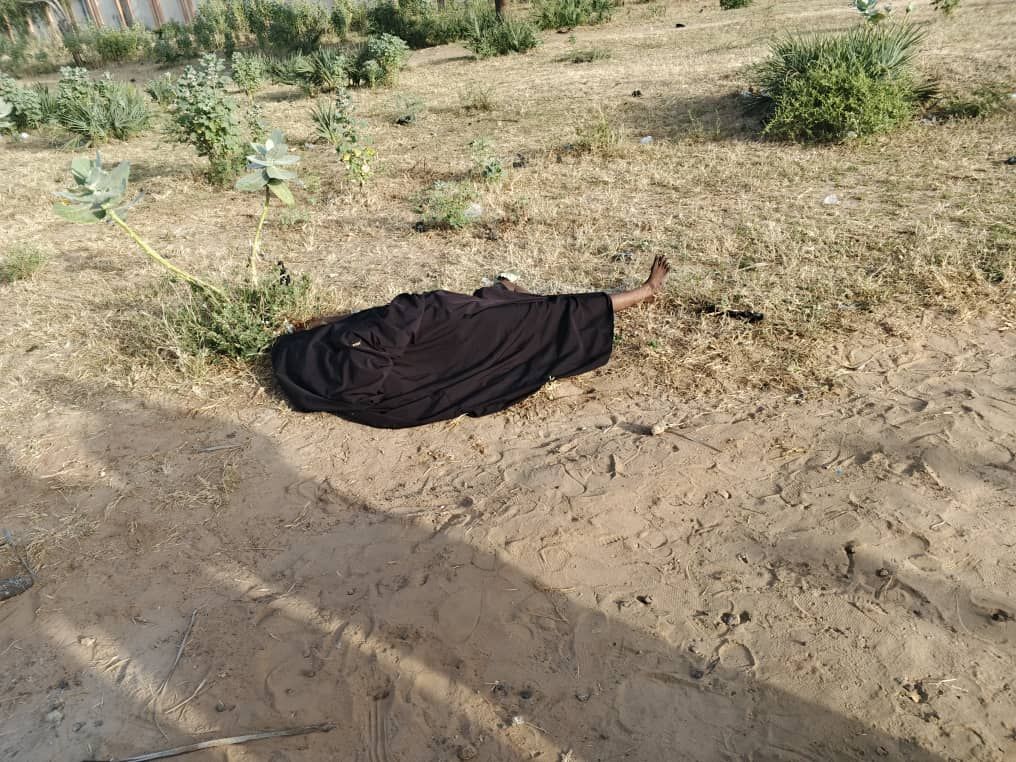 Yobe police arrest APC secretary death of woman