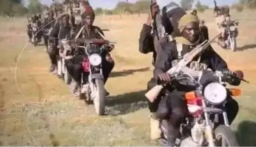 Bandits abduct 11 children Zamfara farm