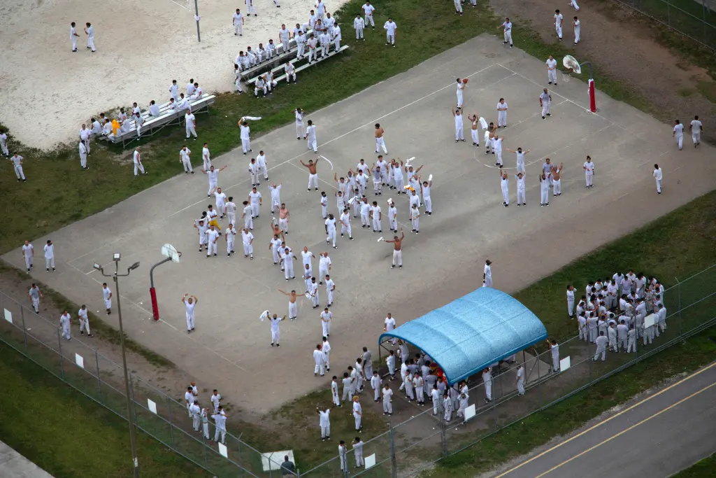 illegal migrant sexual predators arrested in US