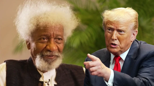 Soyinka slams Trump over Christian killings threat