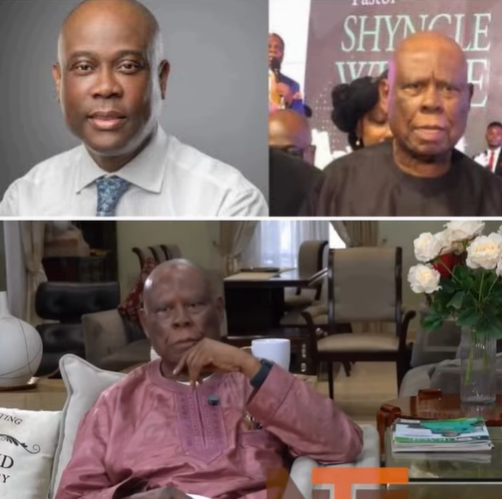 Shyngle Wigwe denies contesting Herbert Wigwe’s inheritance