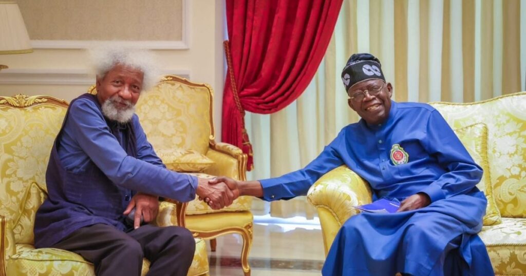 Wole Soyinka won’t assess Tinubu’s government now