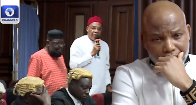 House of Reps pleads mercy for Nnamdi Kanu