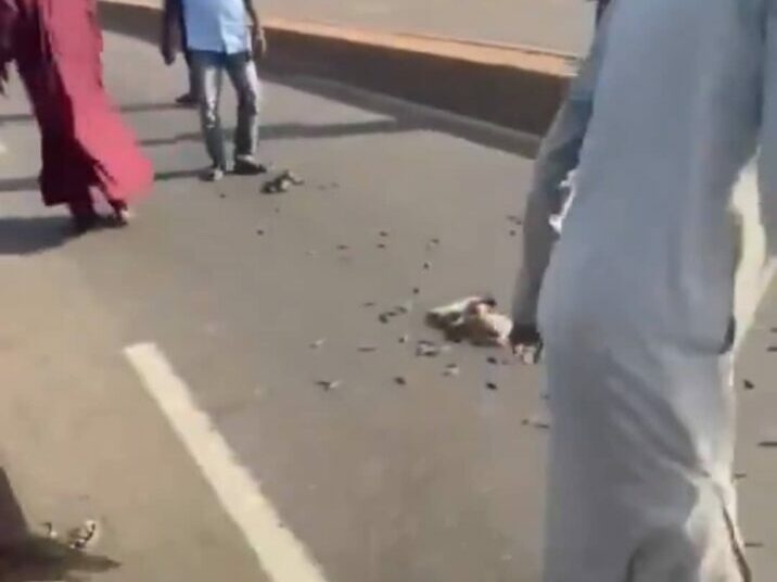 Police recover 210 rounds of ammunition on highway