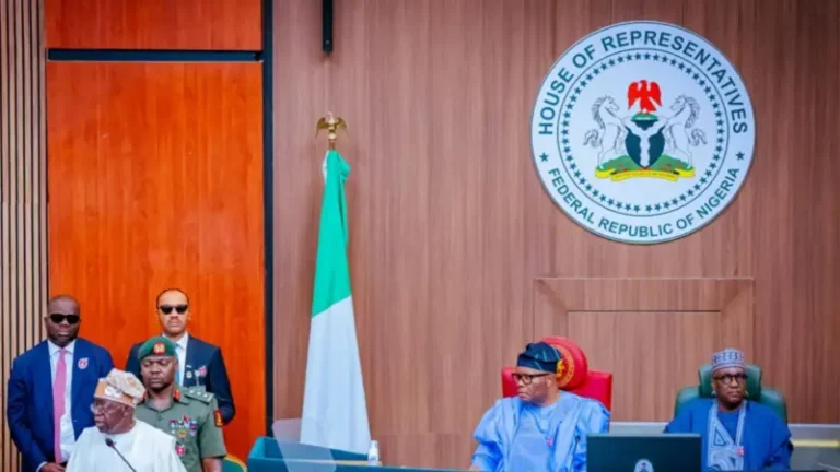 Commotion in House of Reps over Electoral Act Amendment